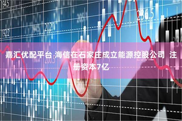 嘉汇优配平台 海信在石家庄成立能源控股公司  注册资本7亿