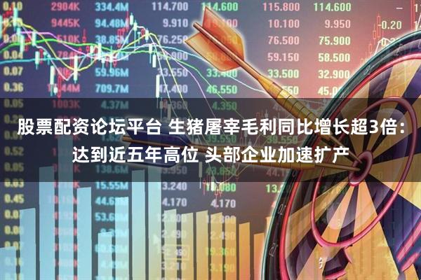 股票配资论坛平台 生猪屠宰毛利同比增长超3倍：达到近五年高位 头部企业加速扩产