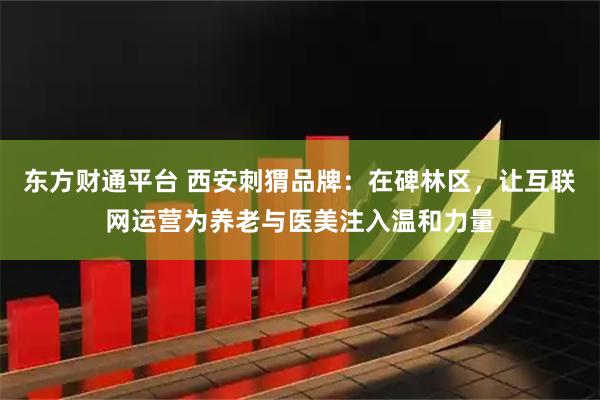 东方财通平台 西安刺猬品牌：在碑林区，让互联网运营为养老与医美注入温和力量