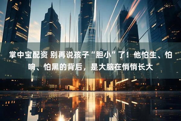 掌中宝配资 别再说孩子“胆小”了！他怕生、怕响、怕黑的背后，是大脑在悄悄长大