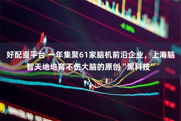 好配资平台 一年集聚61家脑机前沿企业，上海脑智天地培育不伤大脑的原创“黑科技”